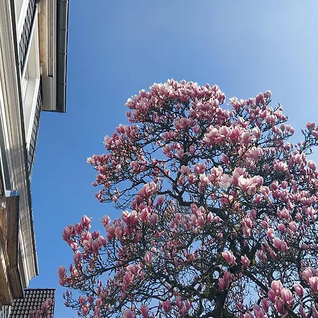 Heideschloesschen In Wuppertal-cronenberg Проживание в семье *